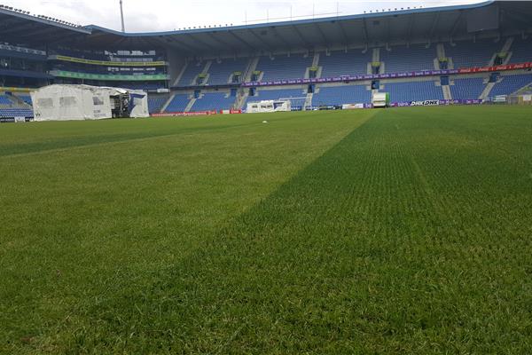 Aménagement terrain principal de Grassmaster avec des bandes synthétique bleu (2018), aménagement de 2 terrains de football synthétique et 2 terrain en gazon naturel (2012) - Sportinfrabouw NV